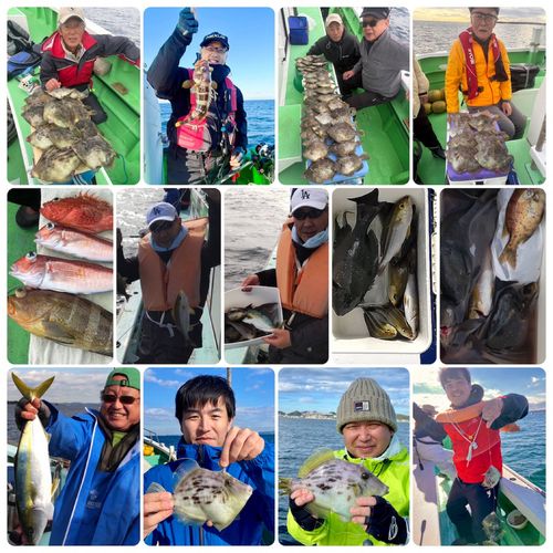 カワハギの釣果