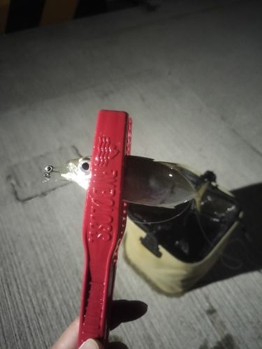 須磨海づり公園