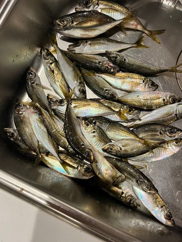 東京湾（アクアライン〜富津）