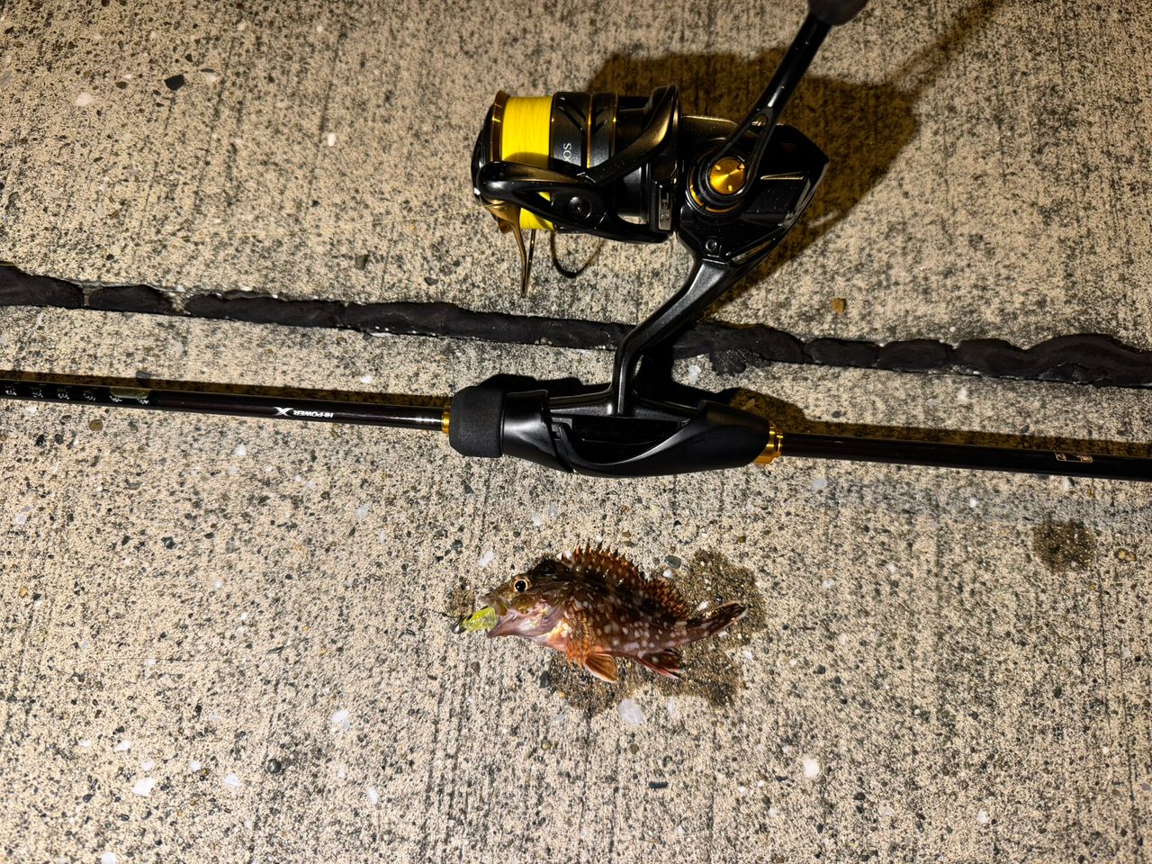 SHIMANO 22セフィア BB S89MLの最安値・インプレ・釣果 | 本音の口コミ