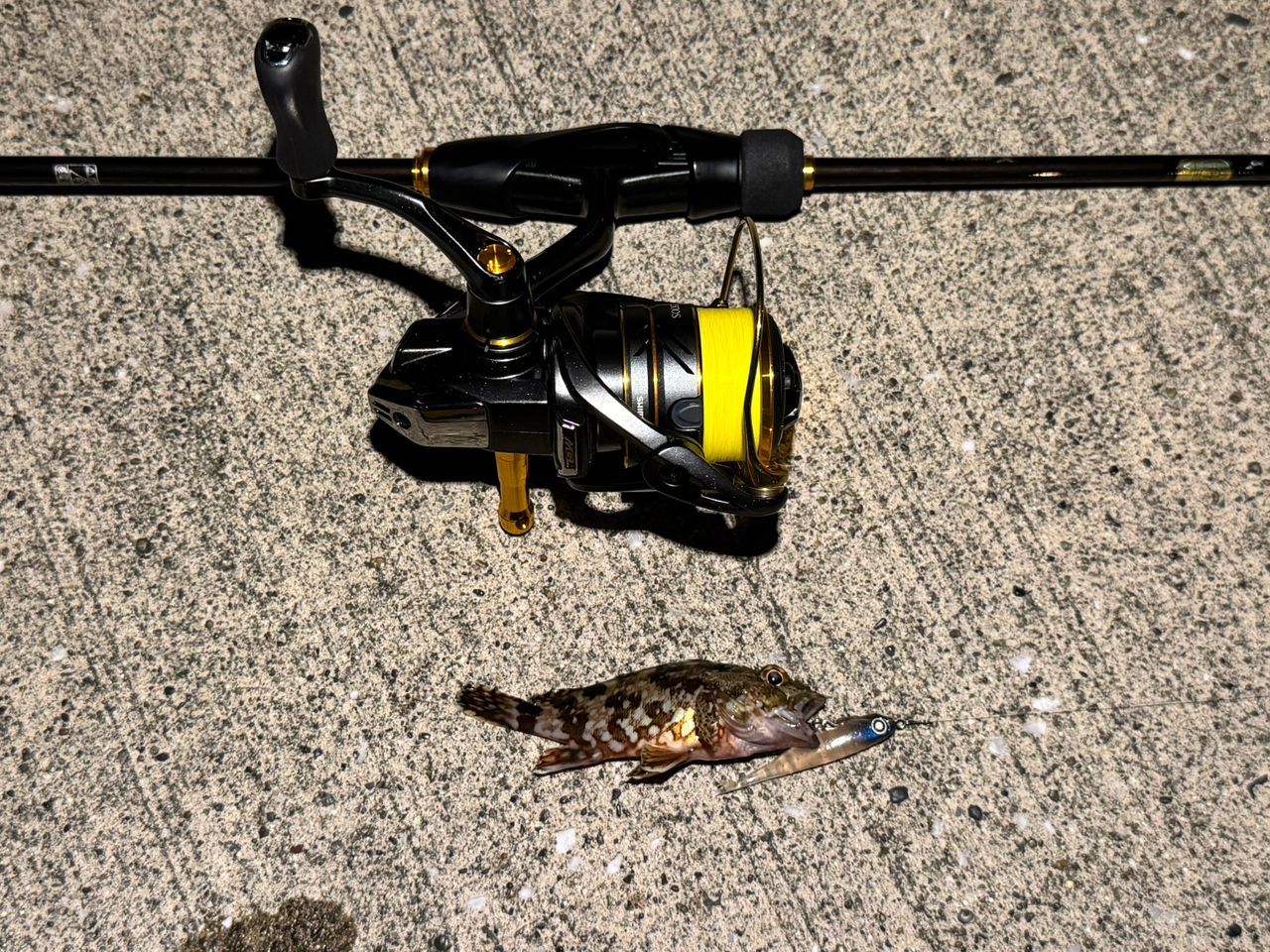 SHIMANO 22セフィア BB S89MLの最安値・インプレ・釣果 | 本音の口コミ