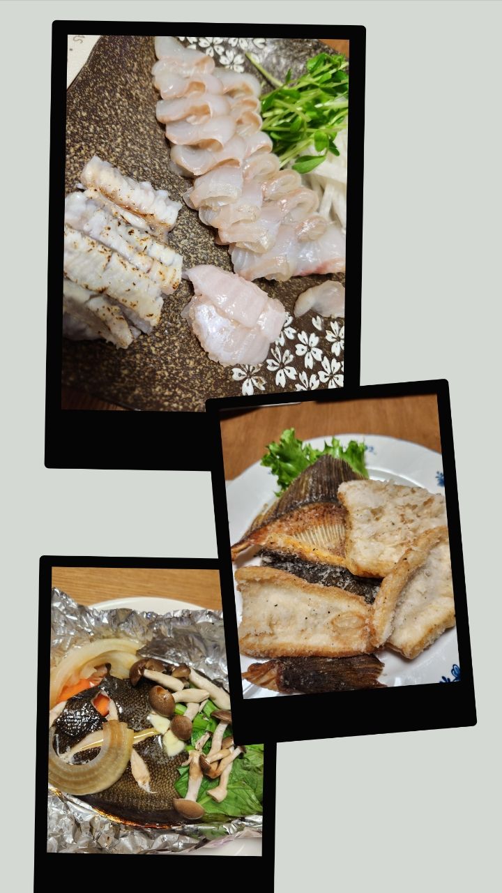 ちかおさんの釣果 3枚目の画像