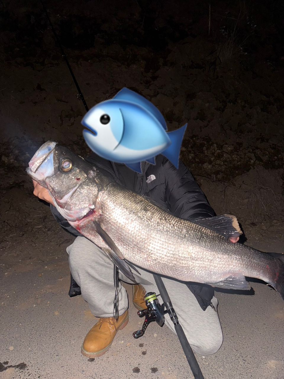 YAMAGA Blanks アーリー プラス 92XMLの最安値・インプレ・釣果 | 本音