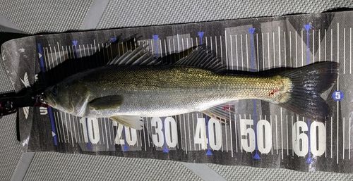 東京湾（アクアライン〜富津）