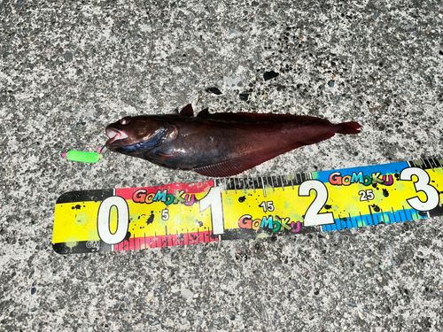 三陸海岸（岩手）