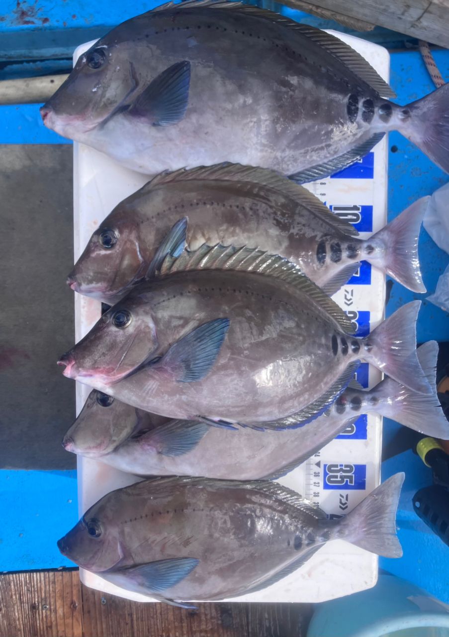 アングラーナーヒャンさんの釣果 3枚目の画像