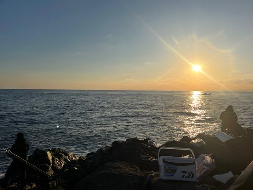 コシナガマグロの釣果