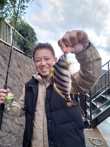 下田港（伊豆半島）