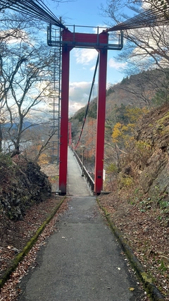 ワカサギの釣果