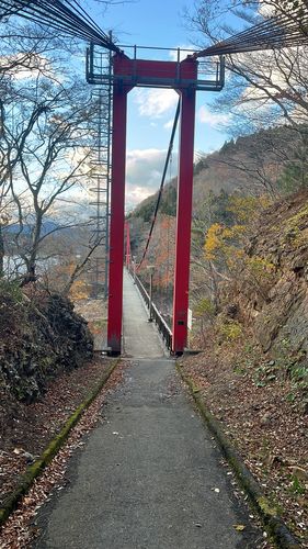 ワカサギの釣果