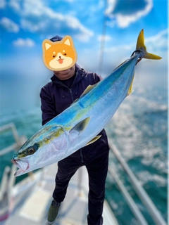 ハマチの釣果