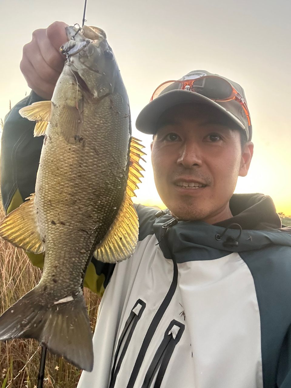 スモールマウスバス