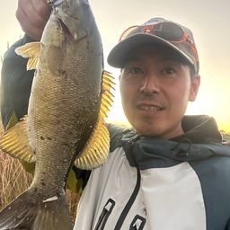 スモールマウスバス