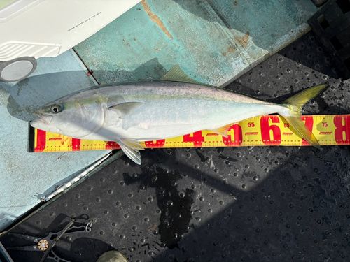 三陸海岸（岩手）