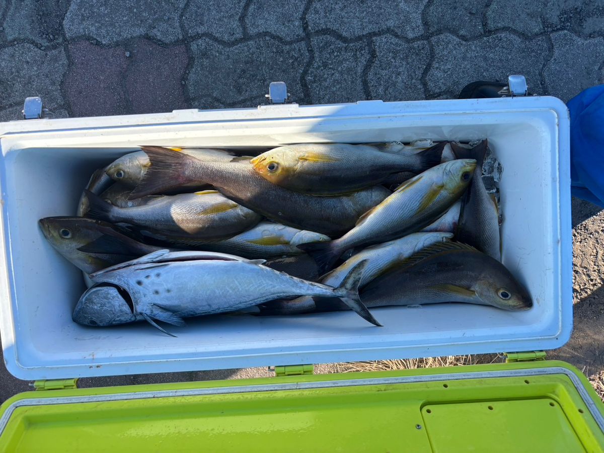 田畑良朗@なつき丸さんの釣果 2枚目の画像