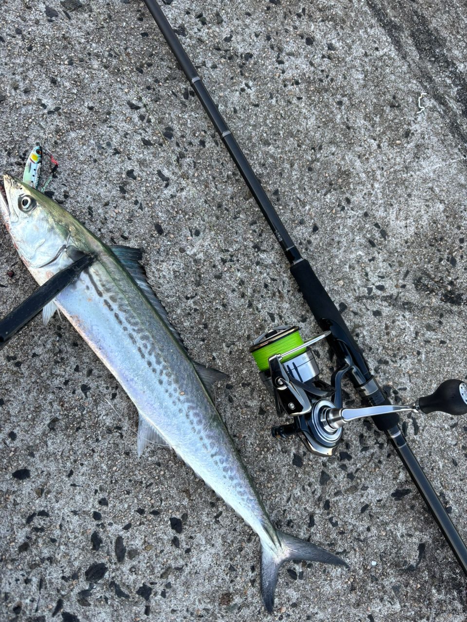 MajorCraft クロスライド 5G XR5-962M/LSJの最安値・インプレ・釣果