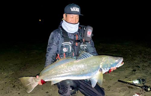 オオニベの釣果