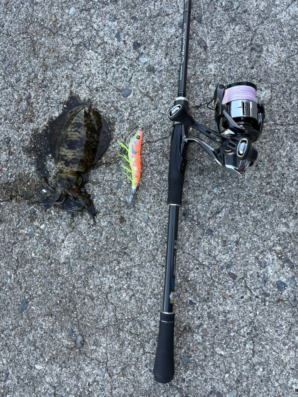 OLYMPIC 2121 カラマレッティー UX 21GCALUS-862Mの最安値・インプレ