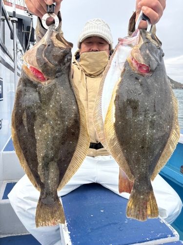 ヒラメの釣果
