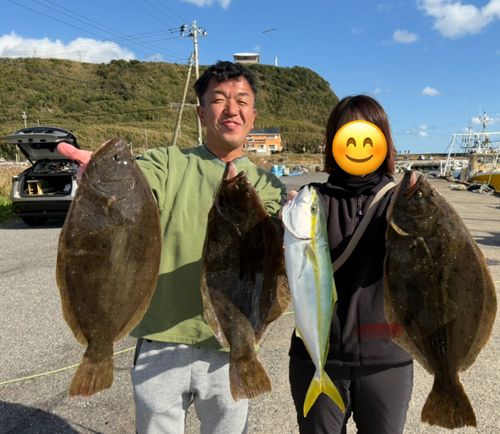 ヒラメの釣果