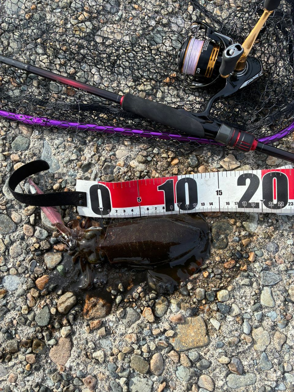 SHIMANO 22セフィア BB S86MLの最安値・インプレ・釣果 | 本音の口コミ