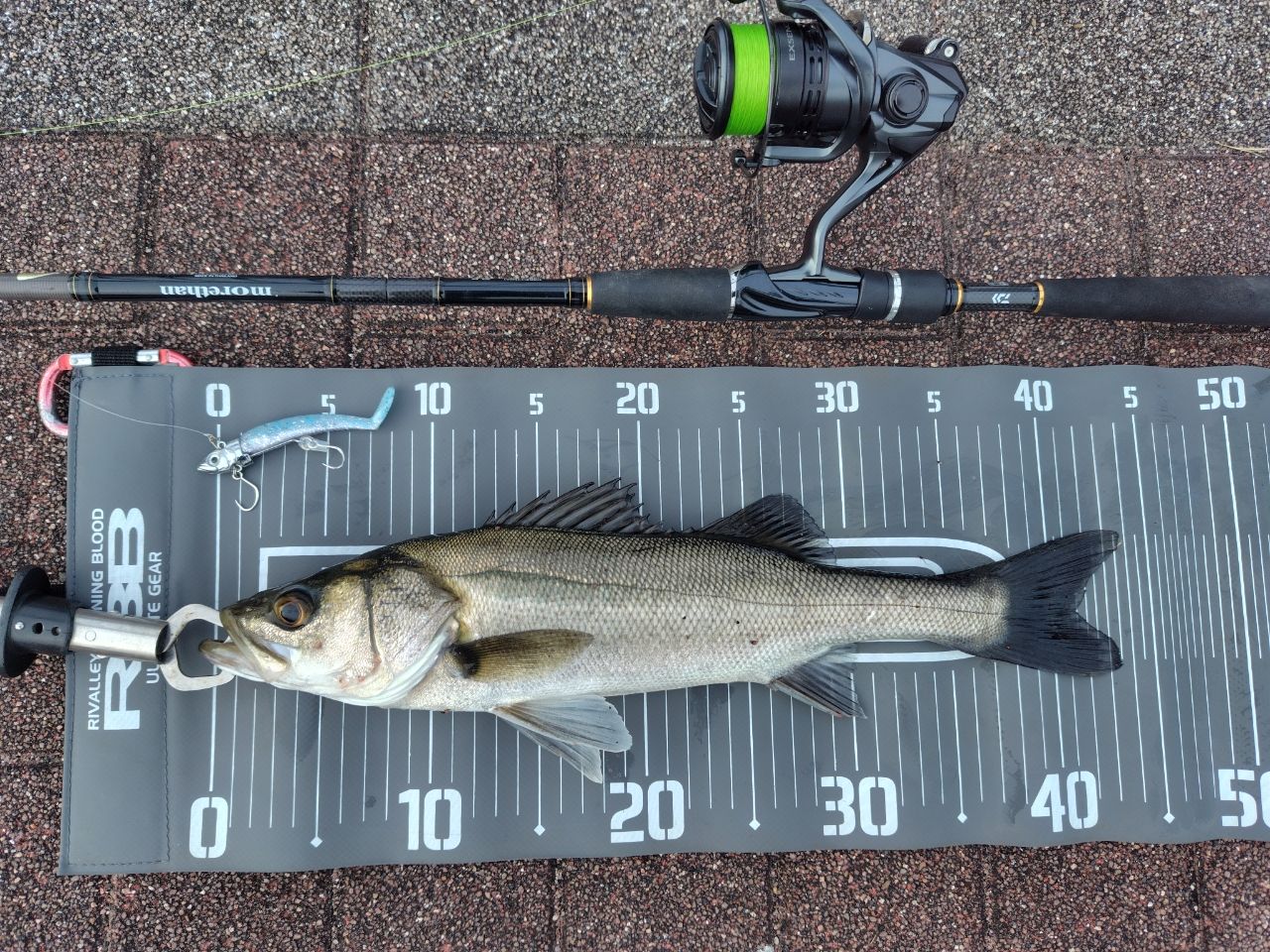 DAIWA 15モアザン モバイル 87MLS-5の最安値・インプレ・釣果 | 本音の