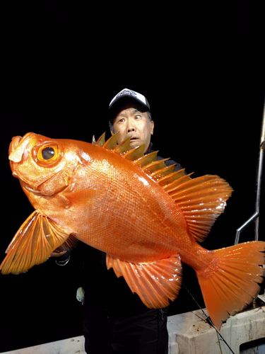 チカメキントキの釣果