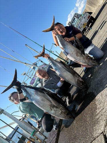 キハダマグロの釣果