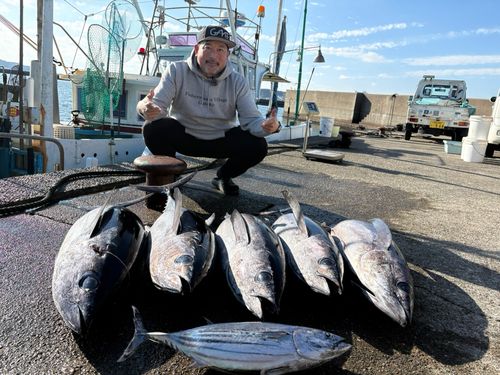 ビンチョウマグロの釣果