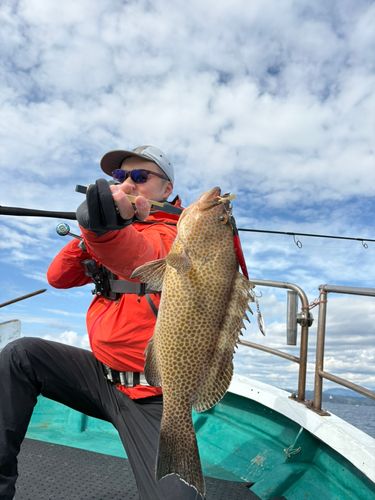 オオモンハタの釣果