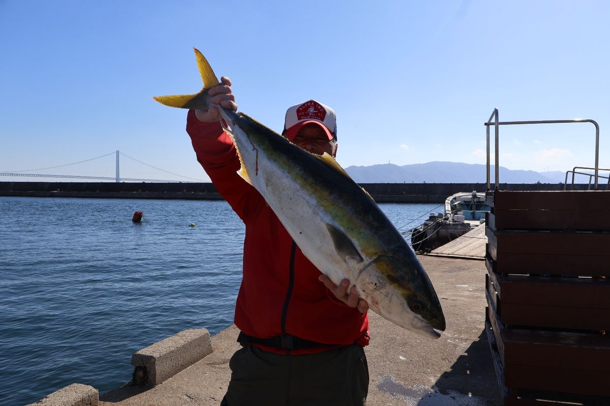 釣り船魚英@兵庫県明石港さんの釣果 2枚目の画像