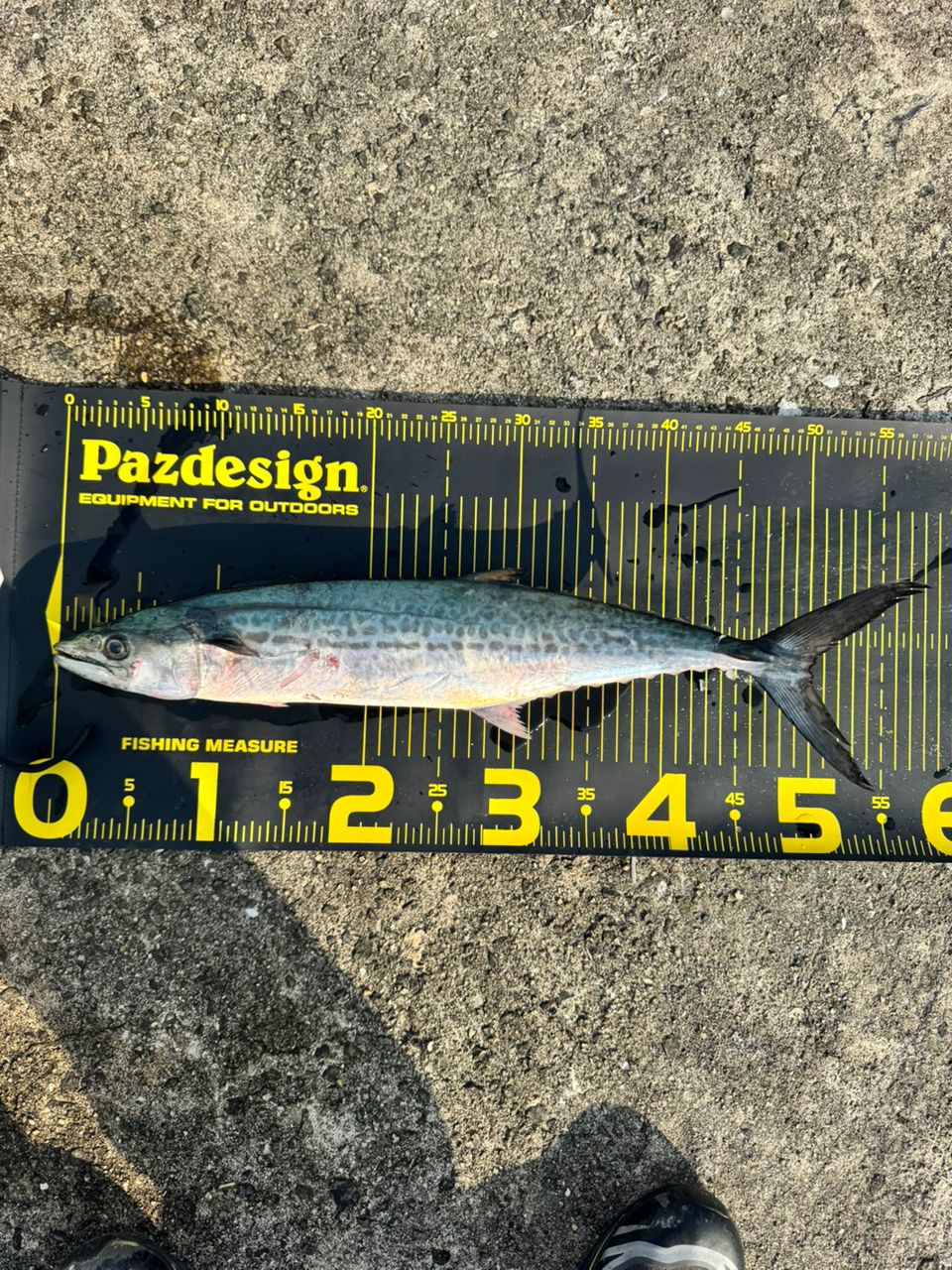 DAIWA ソルティガ LC 73-2の最安値・インプレ・釣果 | 本音の口コミが