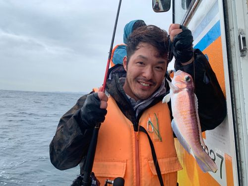 アマダイの釣果
