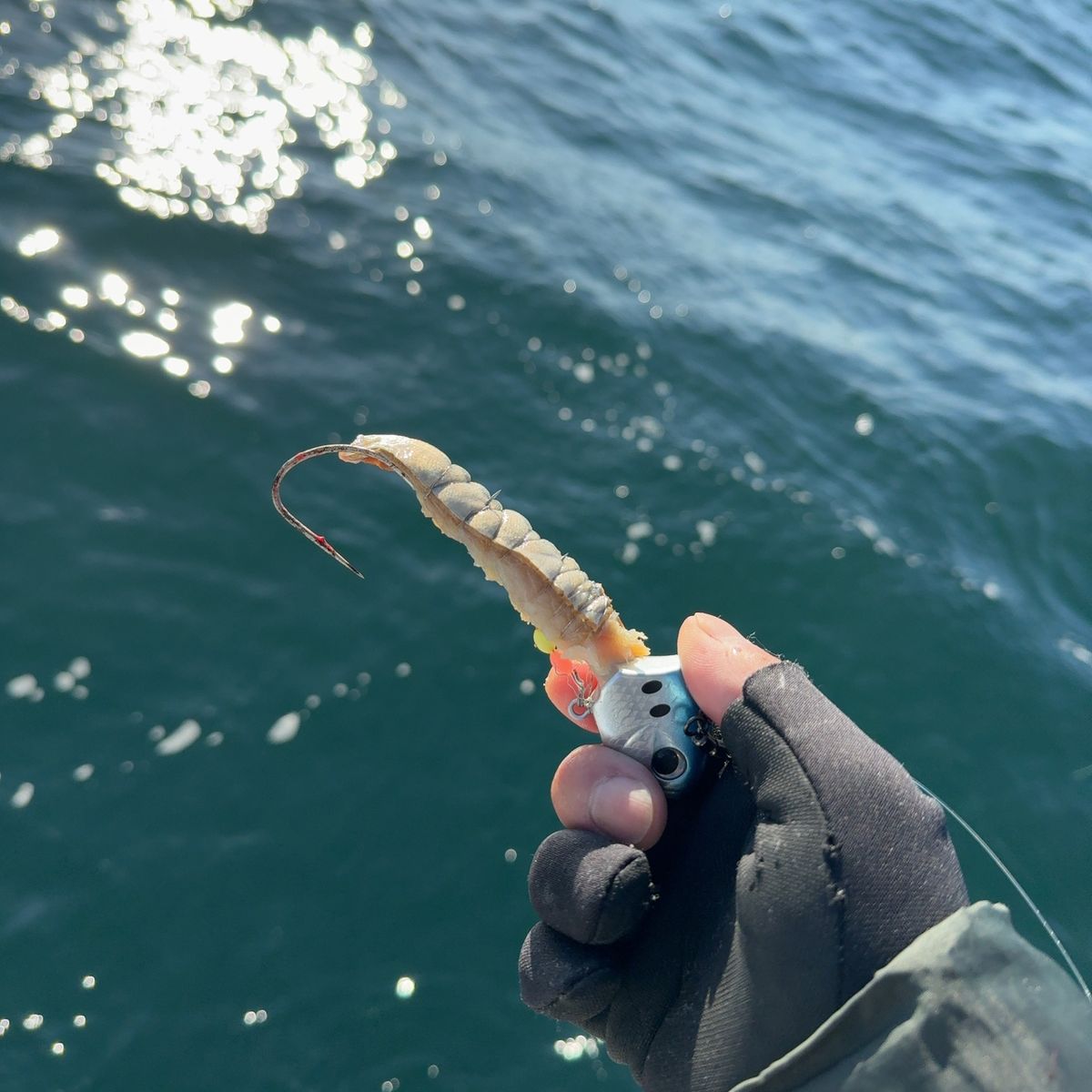 遊釣CH まっすん♪さんの釣果 2枚目の画像