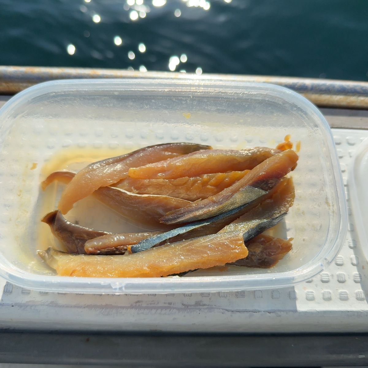 遊釣CH まっすん♪さんの釣果 3枚目の画像