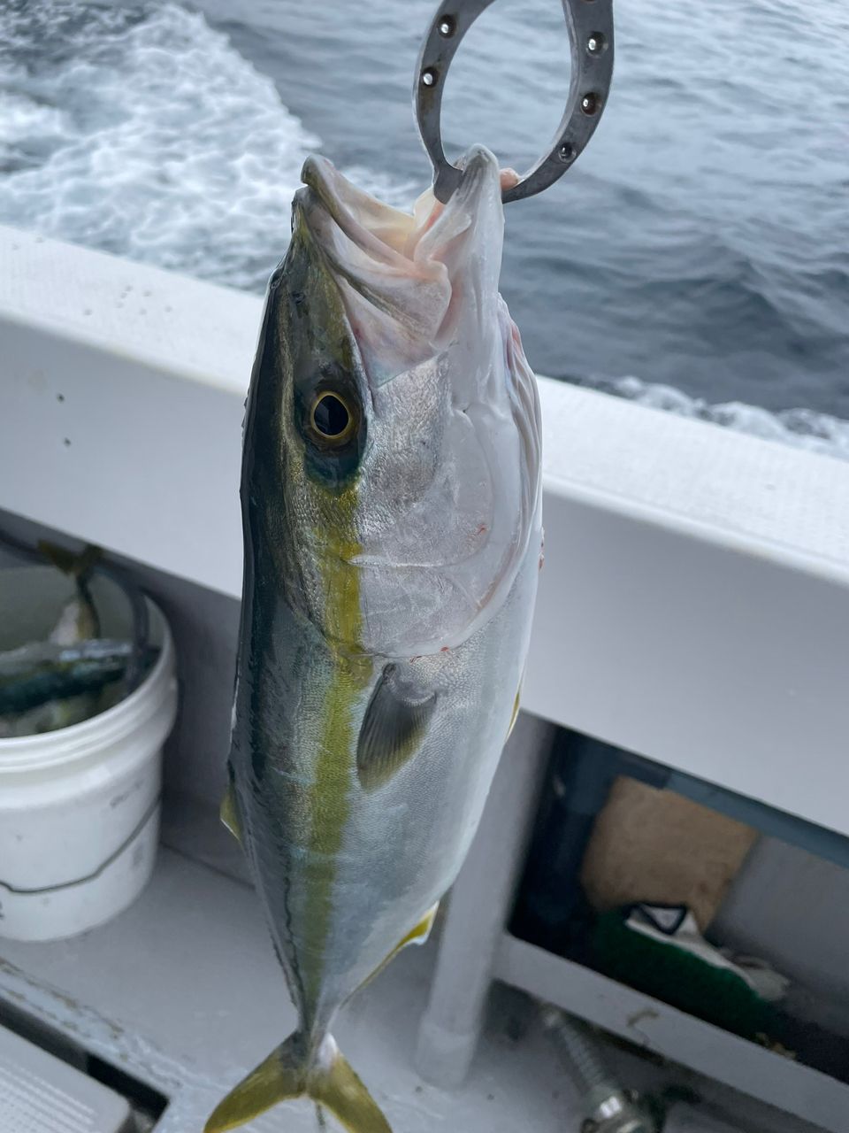 SHIMANO 18オシアジガー LJ B62-2/FSの最安値・インプレ・釣果 | 本音