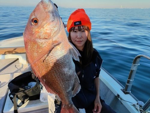 マダイの釣果