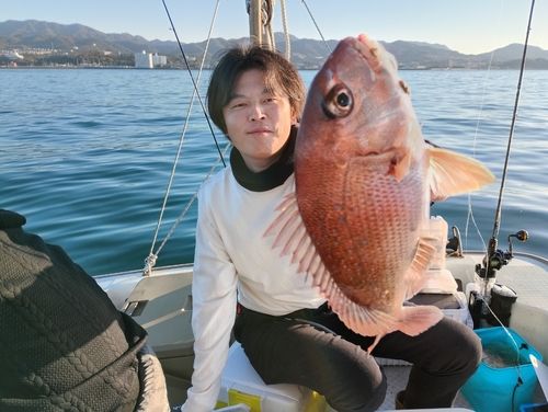 マダイの釣果
