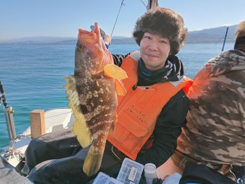 キジハタの釣果