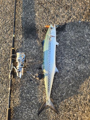 鞠山海遊パーク