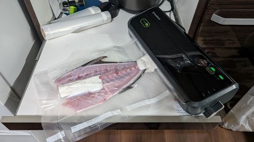 ヒレナガカンパチの釣果