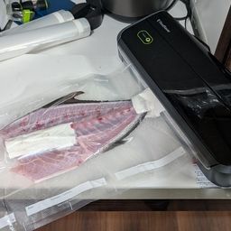 ヒレナガカンパチ