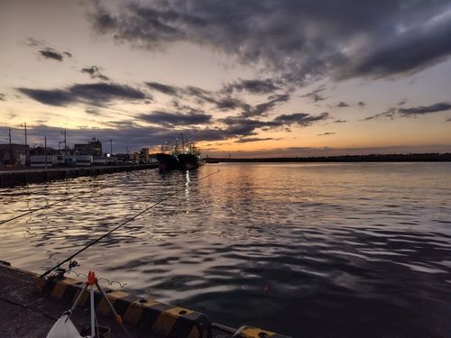 マアナゴの釣果