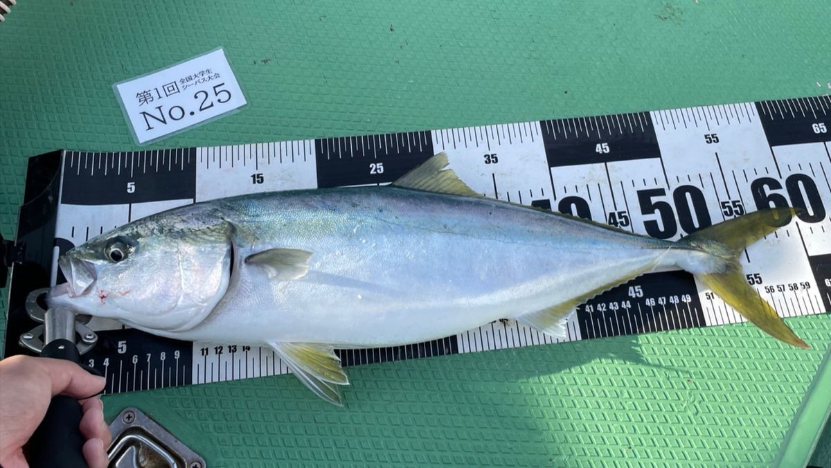 魚好き釣り人さんの釣果 3枚目の画像