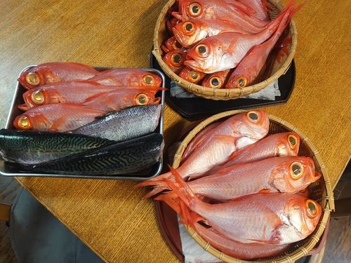 キンメダイの釣果