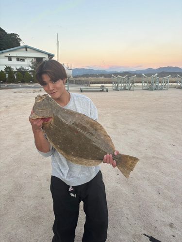 ヒラメの釣果