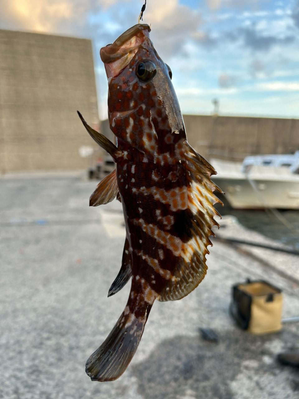 鯵道5G AD5-S622L/AJI メジャークラフト 鯵道 5G AD5-S622L/AJIをレビュー！クチコミ・評判を