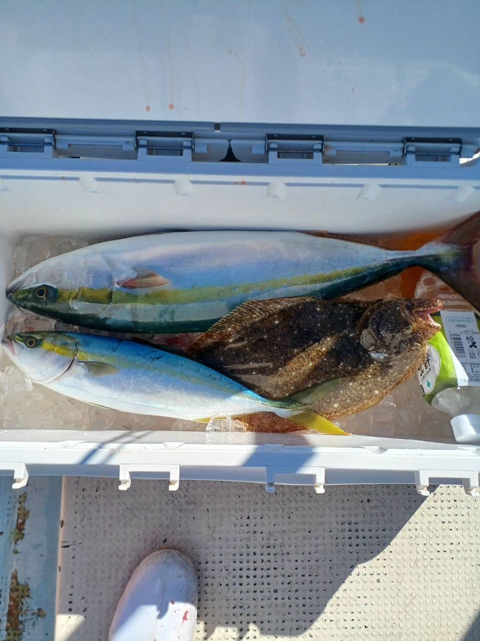 充丸（みつまる）女将さんの釣果 2枚目の画像