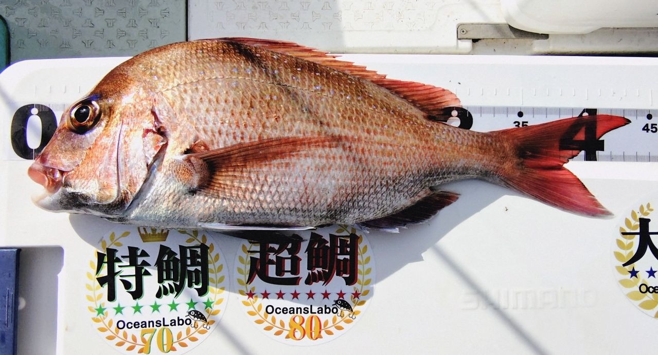 シマノ オシアジガーリミテッドSLJ S610-0 SHIMANO 22オシアジガー リミテッド SLJ S610-0の最安値・インプレ