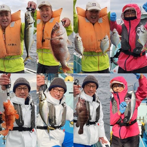 カイワリの釣果